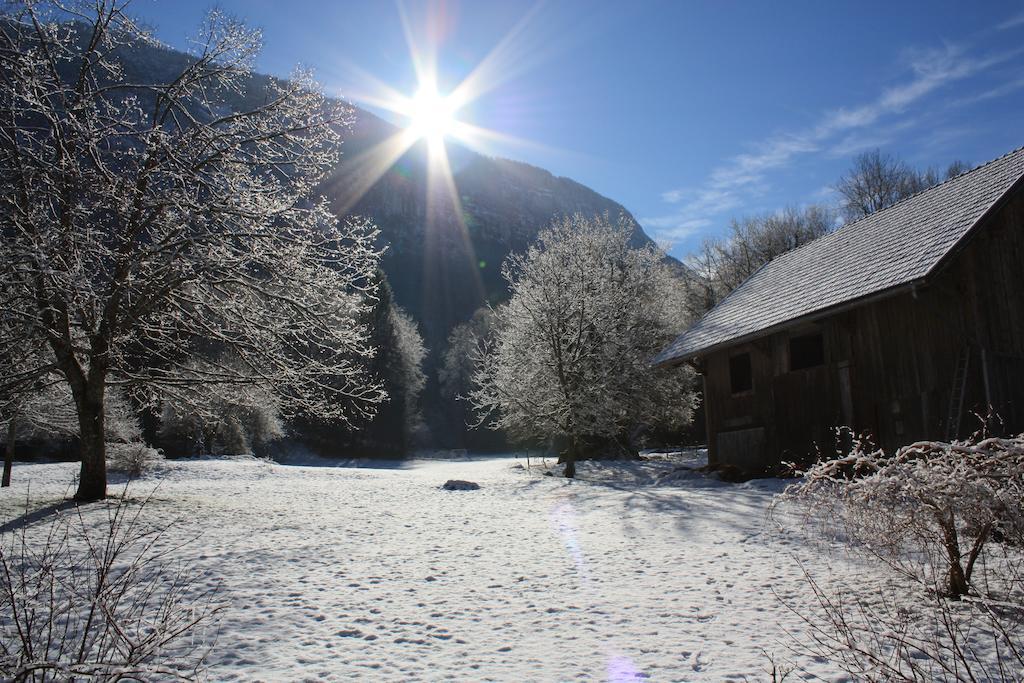 Lepin-le-Lac La Clairiere Du Moulin B&B 외부 사진