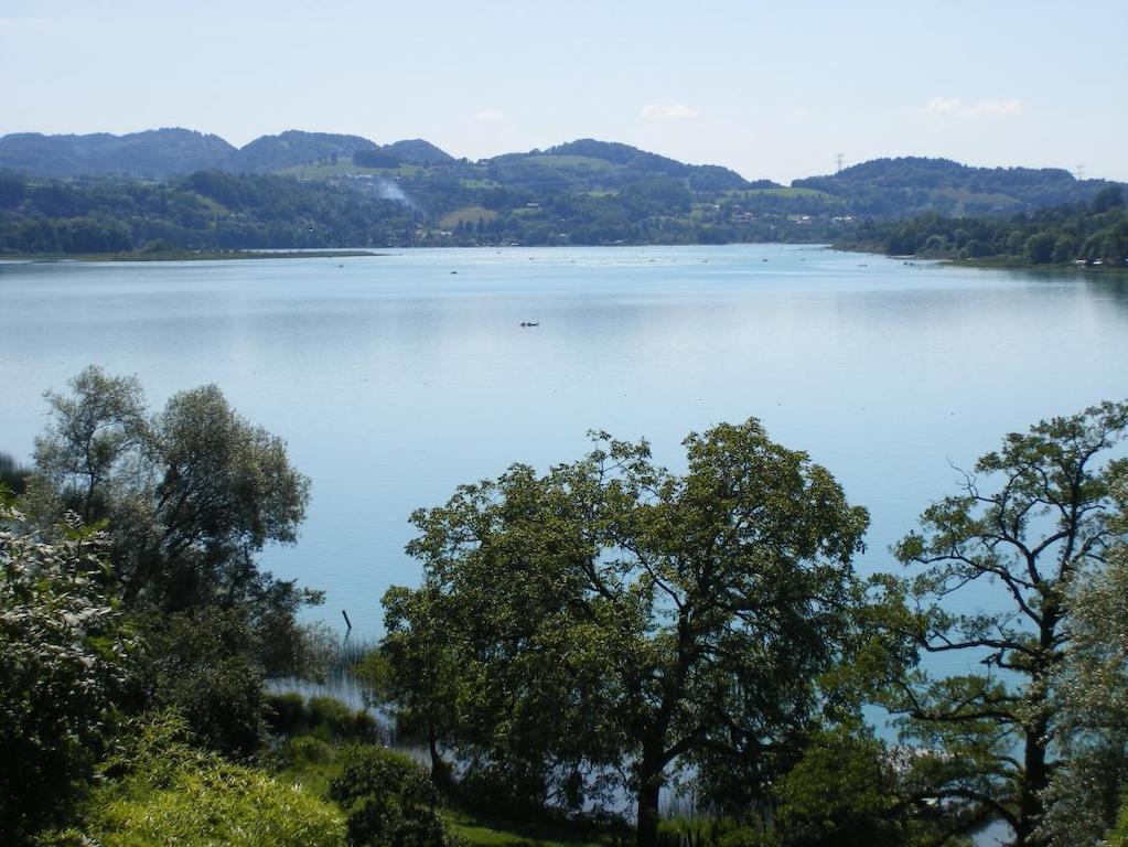 Lepin-le-Lac La Clairiere Du Moulin B&B 외부 사진